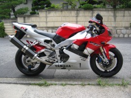 yIMG 0016
